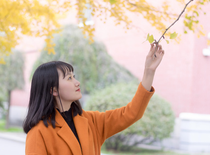 菲律宾的旅游业影响力如何(旅游业发展潜力)